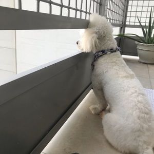 Meet your Posher, April